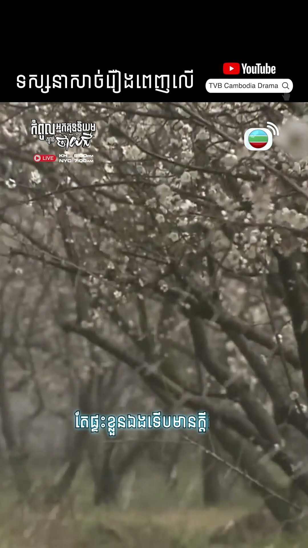 #Short #TVB ##កំពូលអ្នកគុននិយមក្បាច់ថាយជី #ថាយជី #tvbcambodiadrama #TheMasterofTaiChi #TaiChi
